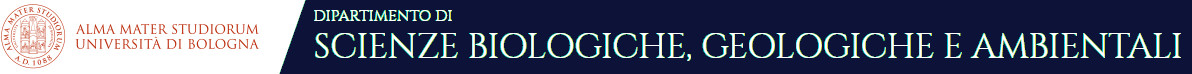 Logo Dipartimento BiGeA